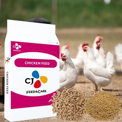خوراک پرورش جوجه های گوشتی
